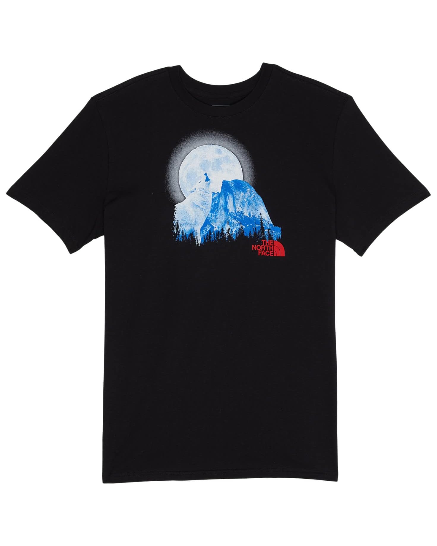 The North Face Boys' S/S Graphic Tee TNF Black/TNF Blue