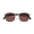 Sunski Avila Clear Tortoise Fade