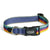 Chaco Dog Collar