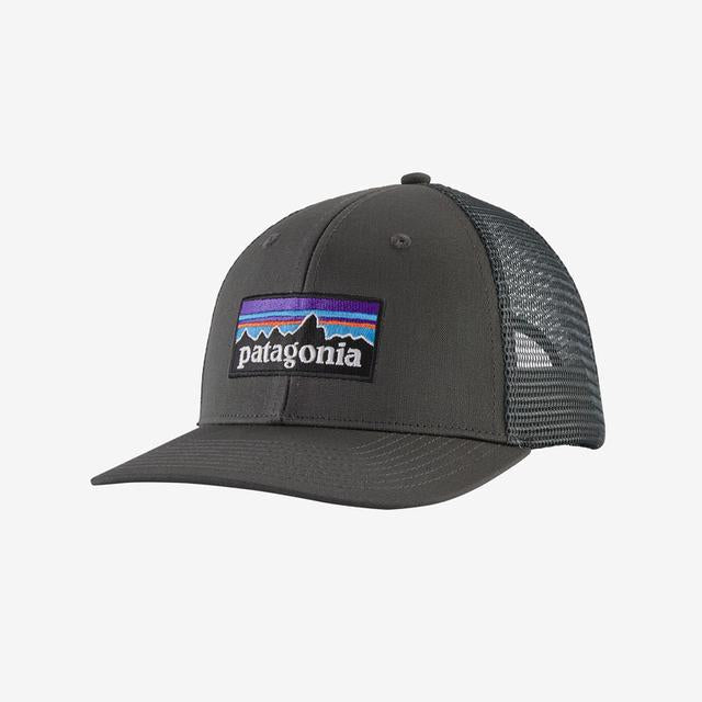 Patagonia P-6 Logo Trucker Hat PUM Pumice