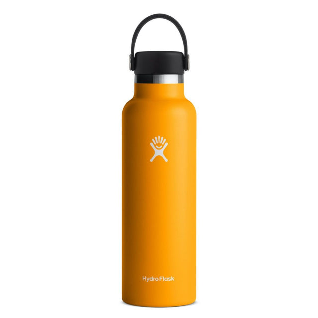 Hydro Flask 21 oz Standard Mouth Water Bottle Starfish