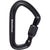 Black Diamond HotForge Screwgate Carabiner Black