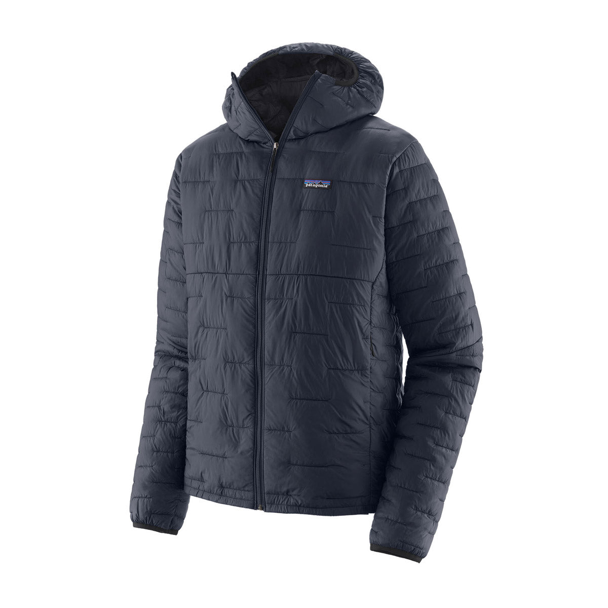 Patagonia Men&#39;s Micro Puff Hoody molder Blue / S