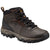 Columbia Men's Newton Ridge Plus II Waterproof Hiking Boot Cordovan Squash