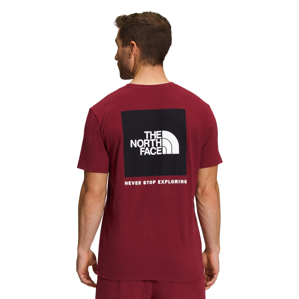 The North Face Men&#39;s Short-Sleeve Box NSE Tee Cordovan/TNF Black