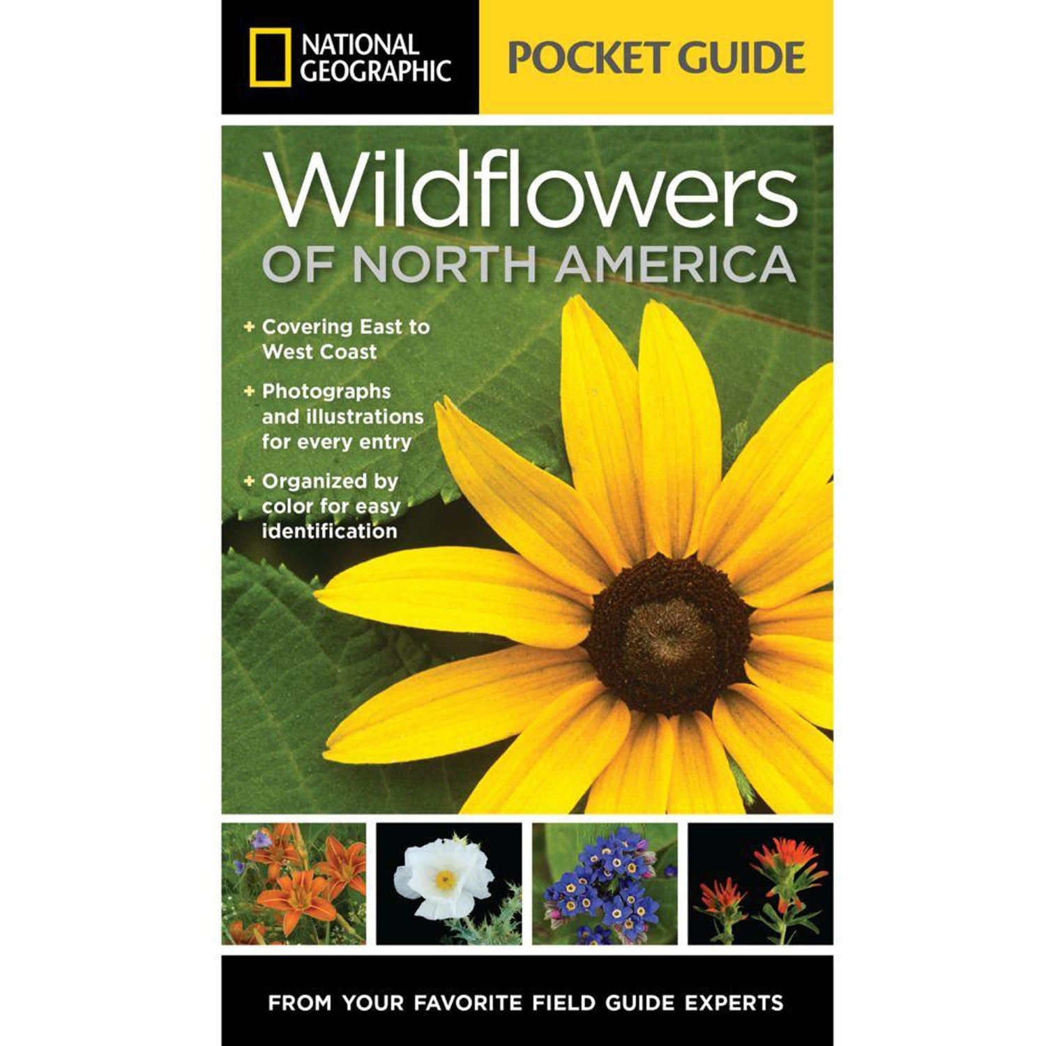 National Geographic Maps Pocket Guide To Wildflowers Of North America