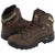 Lowa Men's Renegade GTX Mid Hiking Boot Sepia Sepia