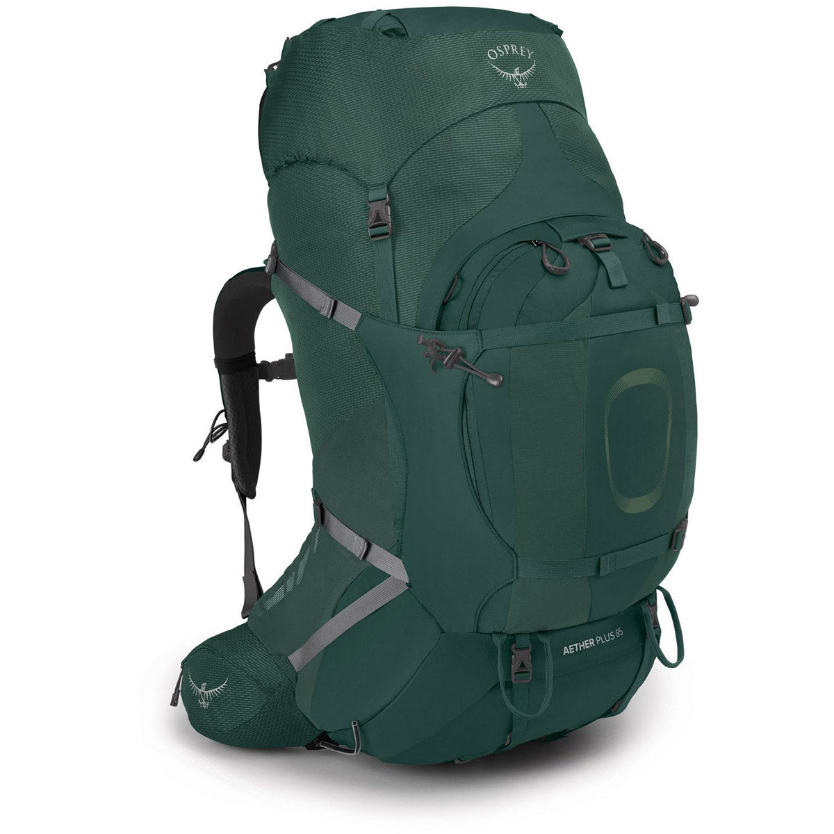 Osprey Packs Aether Plus 85 Axo Green