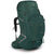 Osprey Packs Aether Plus 85 Axo Green
