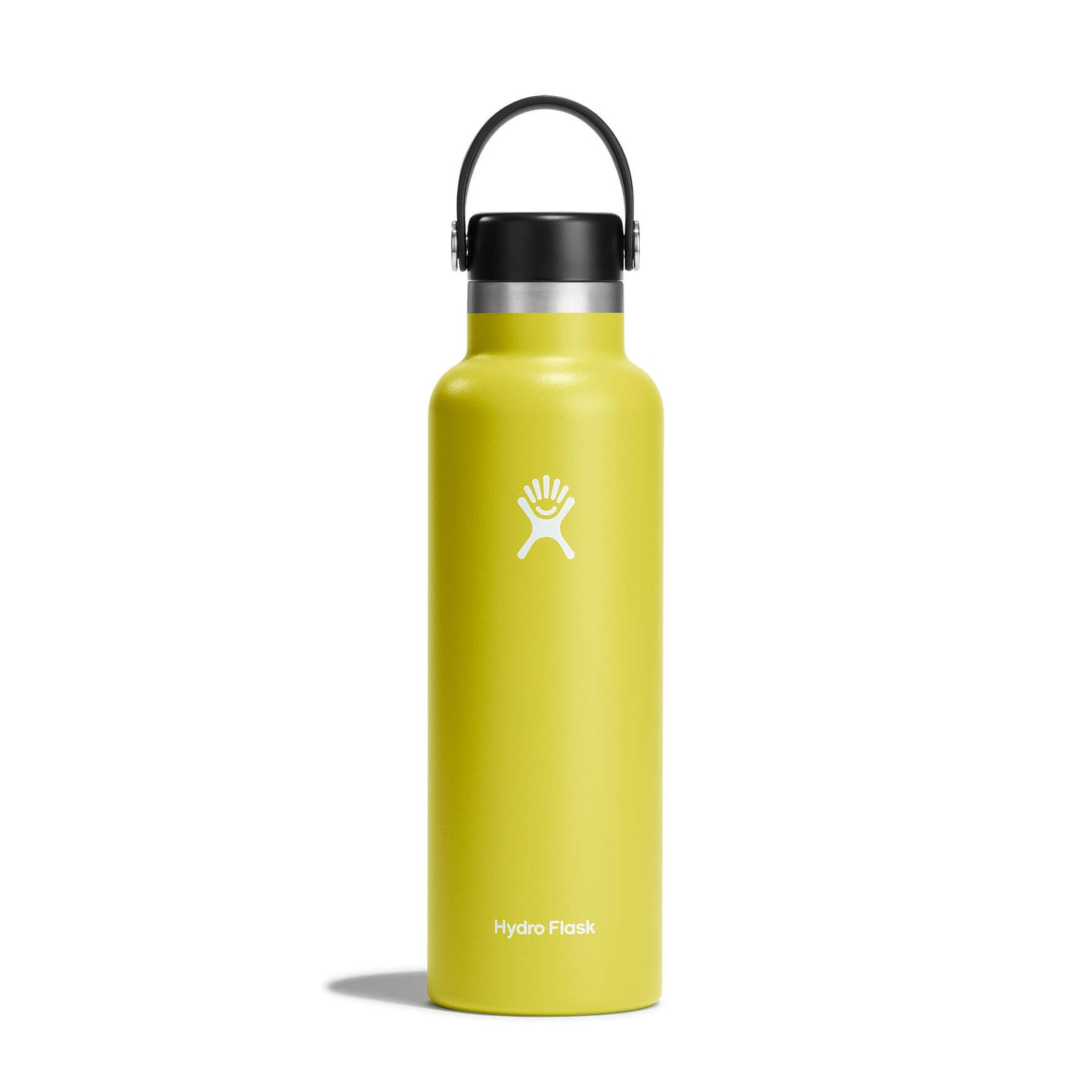 Hydro Flask 21 oz Standard Mouth Water Bottle Cactus